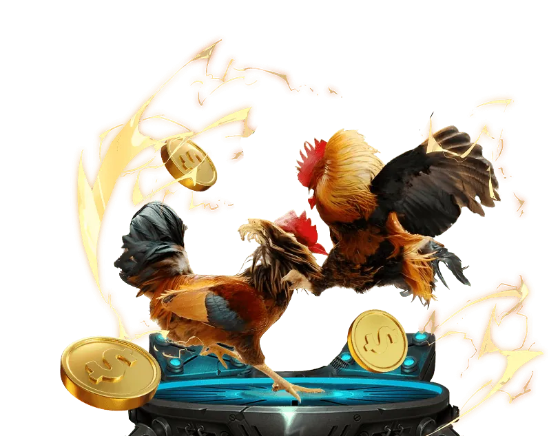 Hoàn trả thể thao 777loc